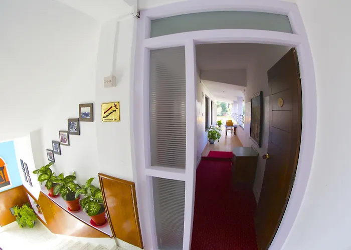 Zostel Hostel